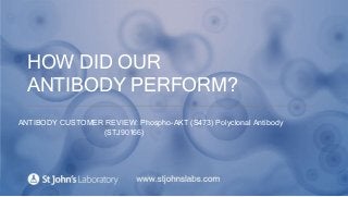 HOW DID OUR
ANTIBODY PERFORM?
ANTIBODY CUSTOMER REVIEW: Phospho-AKT (S473) Polyclonal Antibody
(STJ90166)
 