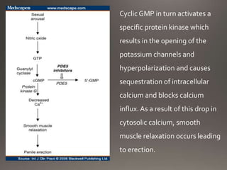 Cyclic GMP in turn activates a
specific protein kinase which
results in the opening of the
potassium channels and
hyperpolarization and causes
sequestration of intracellular
calcium and blocks calcium
influx. As a result of this drop in
cytosolic calcium, smooth
muscle relaxation occurs leading
to erection.
 