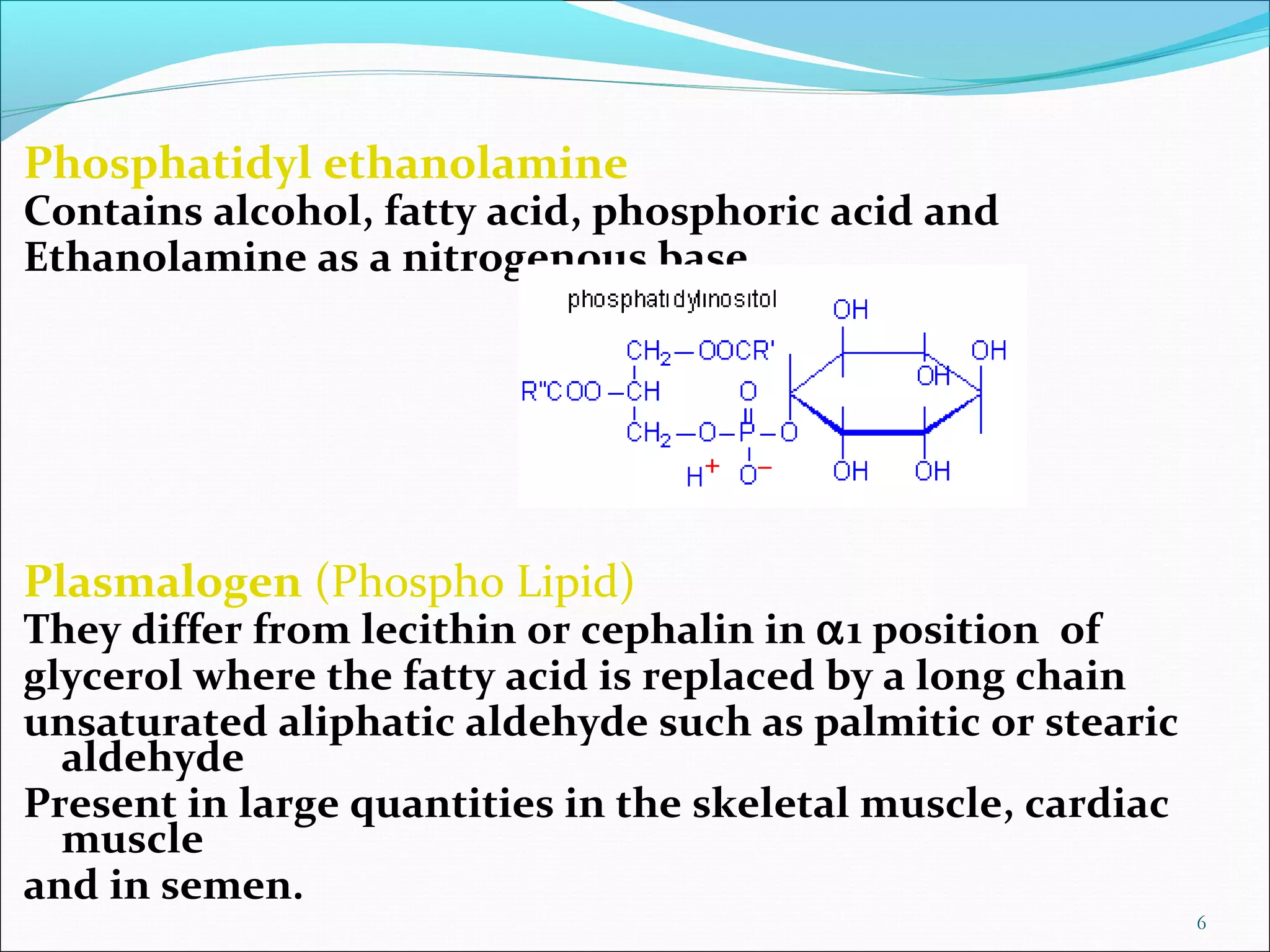 Phospholipids | PPT