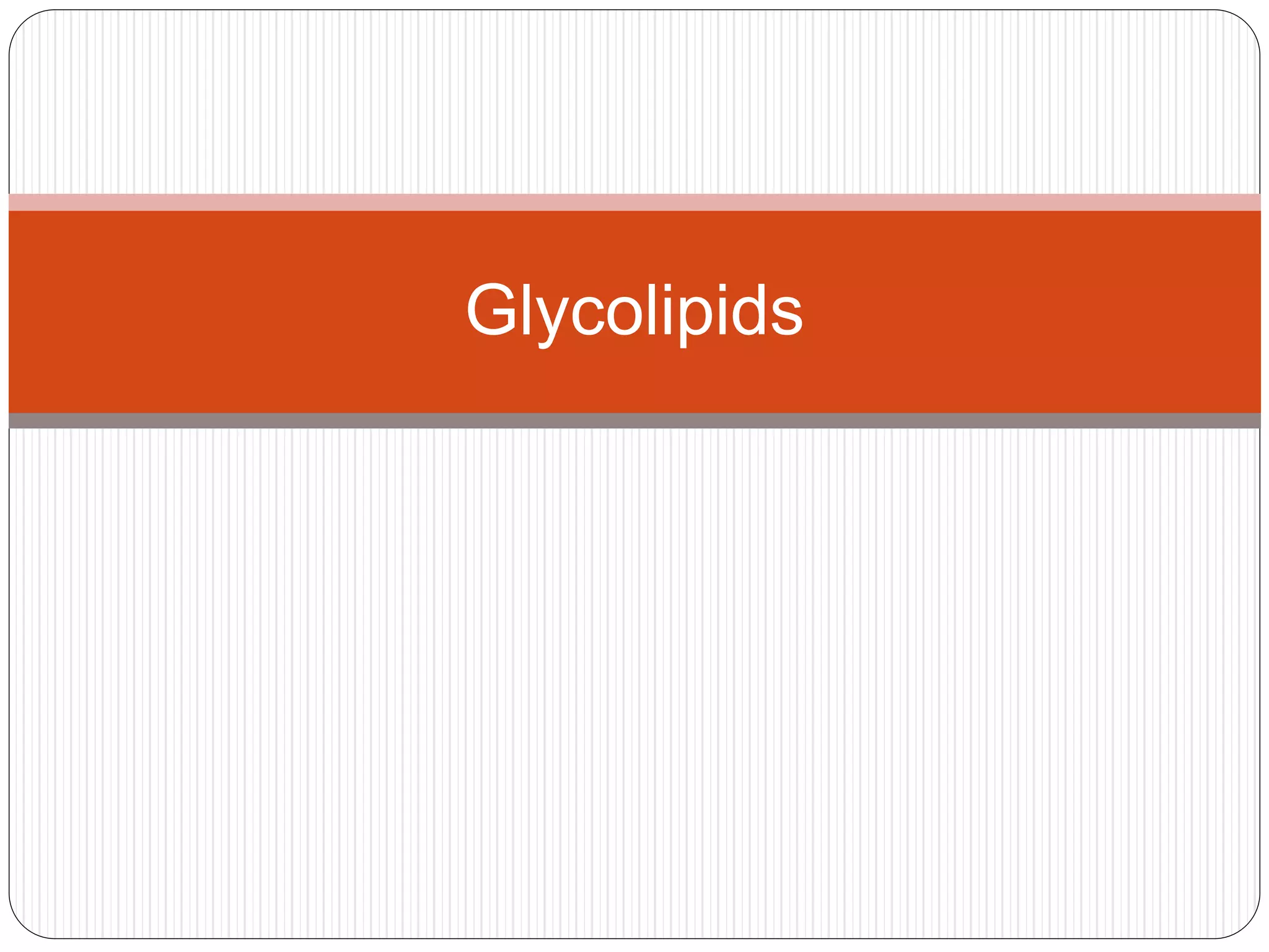 Are Phospholipids Polymers?  The Definitive Answer - hx2gnc2
