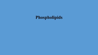 Phospholipids
 