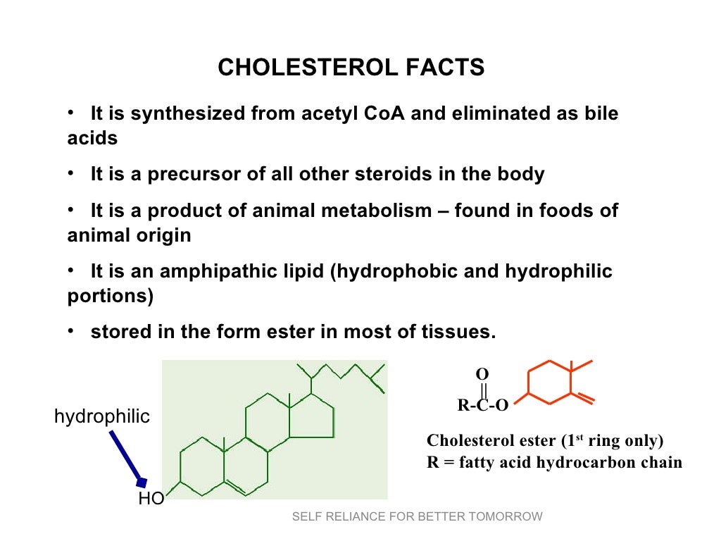 Phospholipids cholesterol