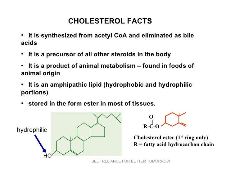 Phospholipids cholesterol