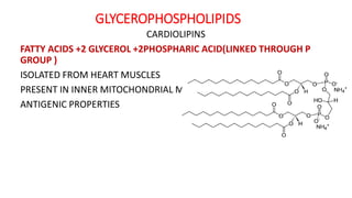 GLYCEROPHOSPHOLIPIDS
CARDIOLIPINS
FATTY ACIDS +2 GLYCEROL +2PHOSPHARIC ACID(LINKED THROUGH P
GROUP )
ISOLATED FROM HEART MUSCLES
PRESENT IN INNER MITOCHONDRIAL MEMBRANE
ANTIGENIC PROPERTIES
 