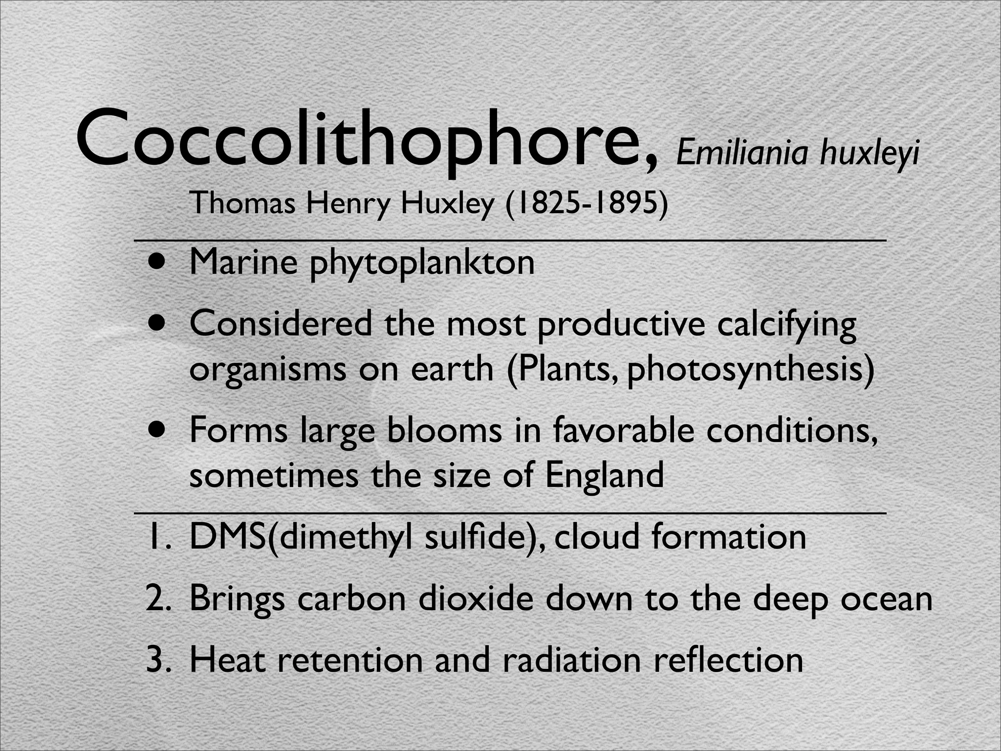 Coccolithophore, Emiliania huxleyi
      Thomas Henry Huxley (1825-1895)

  •   Marine phytoplankton
  •   Considered the most productive calcifying
      organisms on earth (Plants, photosynthesis)
  •   Forms large blooms in favorable conditions,
      sometimes the size of England
  1. DMS(dimethyl sulﬁde), cloud formation
  2. Brings carbon dioxide down to the deep ocean
  3. Heat retention and radiation reﬂection
 