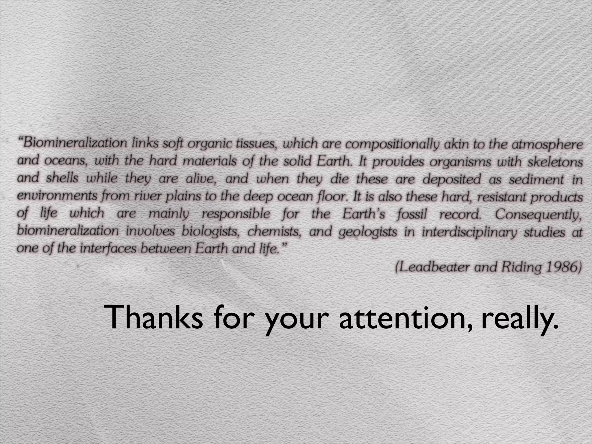 Thanks for your attention, really.
 