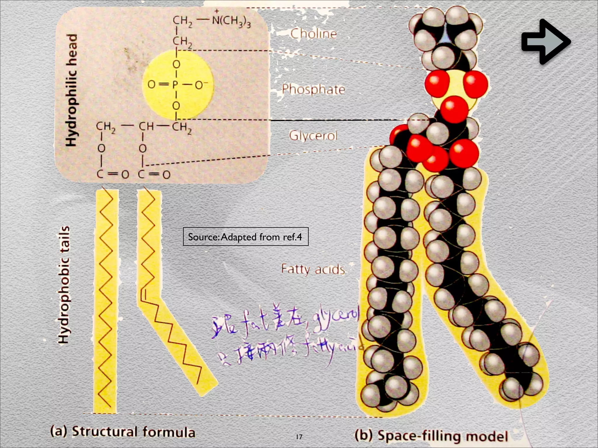 Source: Adapted from ref.4




                        17
 