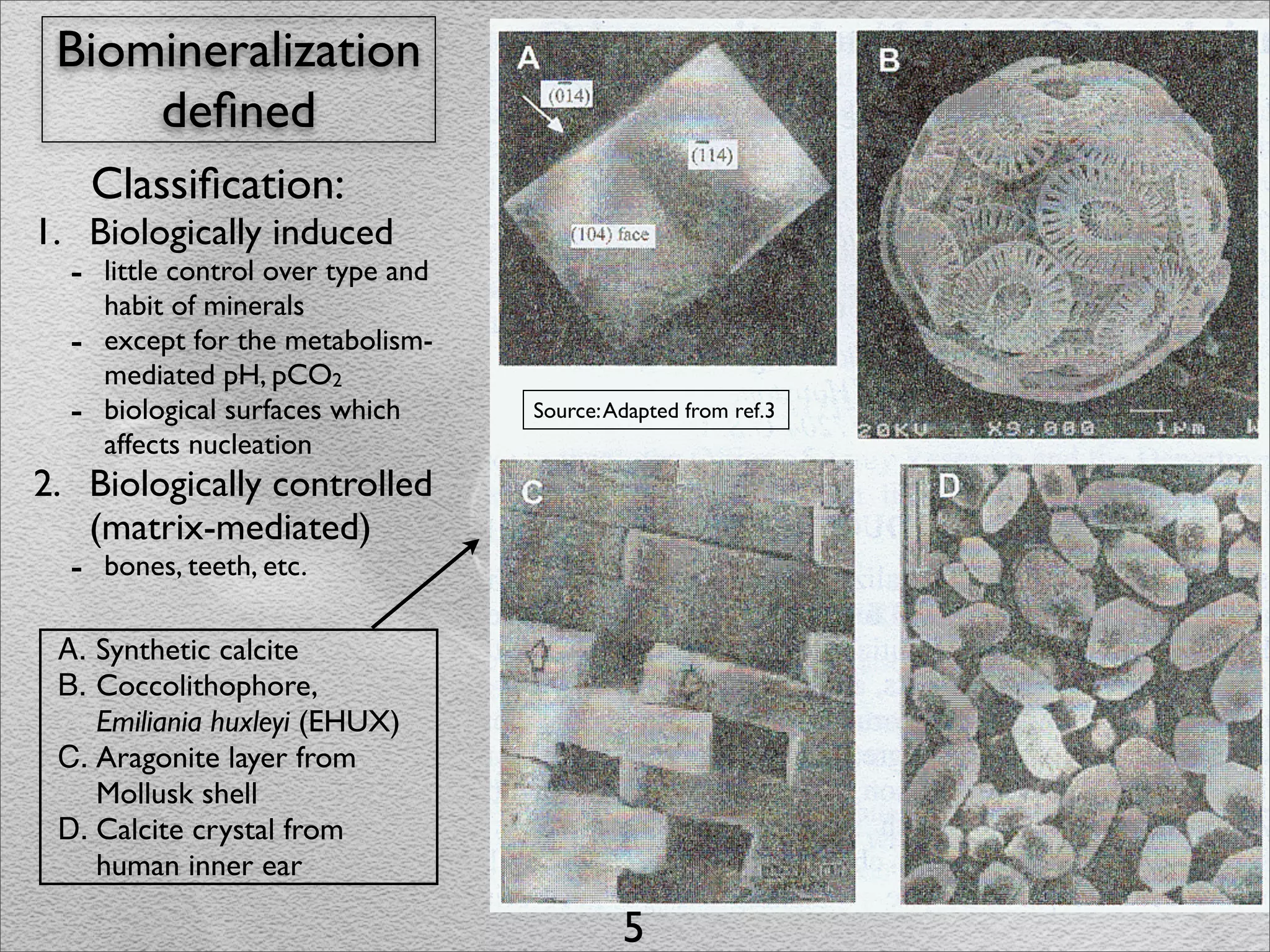Biomineralization
     deﬁned
       Classiﬁcation:
1. Biologically induced
  - little control over type and
       habit of minerals
   -   except for the metabolism-
       mediated pH, pCO2
   -   biological surfaces which    Source: Adapted from ref.3
       affects nucleation
2. Biologically controlled
   (matrix-mediated)
  - bones, teeth, etc.

 A. Synthetic calcite
 B. Coccolithophore,
    Emiliania huxleyi (EHUX)
 C. Aragonite layer from
    Mollusk shell
 D. Calcite crystal from
    human inner ear

                                             5
 