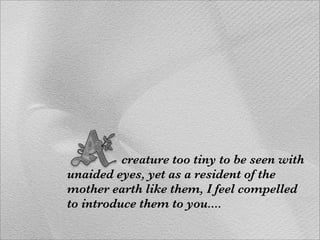 creature too tiny to be seen with
unaided eyes, yet as a resident of the
mother earth like them, I feel compelled
to introduce them to you....
 