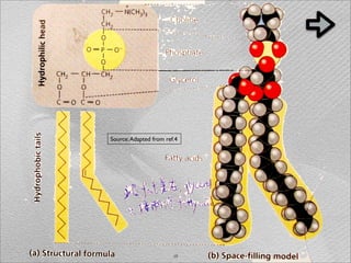 Source: Adapted from ref.4




                        17
 