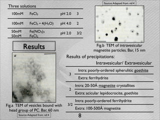 Source: Adapted from ref.4
 Three solutions
   100mM        FeCl3               pH 2.0    3

   100mM        FeCl2 • 4(H2O)      pH 4.0    2

   50mM         Fe(NO3)3            pH 2.0    3/2
   50mM         FeCl2

          Results                                         Fig.b TEM of intravesicular
                                                         magnetite particles. Bar, 15 nm
                                       Results of precipitations:
                                                      Intravesicular/ Extravesicular
                                               Intra: poorly-ordered spherulitic goethite
                                        3
                                               Extra: ferrihydrite
                                              Intra: 20-50Å magnetite crystallites
                                        2
                                              Extra: acicular lepidocrocite, goethite
                                              Intra: poorly-ordered ferrihydrite
Fig.a TEM of vesicles bound with        3/2
  head group of PC. Bar, 60 nm                Extra: 100-500Å magnetite
       Source: Adapted from ref.4               8
 