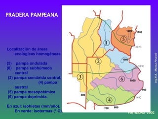 <ul><li>PRADERA  PAMPEANA </li></ul><ul><li>Localización de áreas ecológicas homogéneas  </li></ul><ul><li>pampa ondulada ...