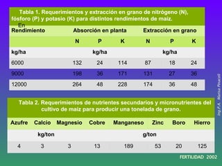     Tabla 2. Requerimientos de nutrientes secundarios y micronutrientes del cultivo de maíz para producir una tonelada de ...