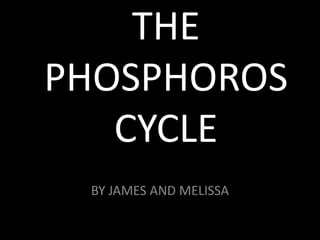 THE PHOSPHOROS CYCLE BY JAMES AND MELISSA 
