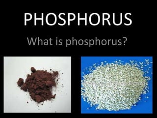 PHOSPHORUSWhat is phosphorus?