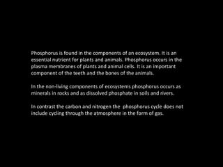 Phosphorus is found in the components of an ecosystem. It is an essential nutrient for plants and animals. Phosphorus occurs in the plasma membranes of plants and animal cells. It is an important component of the teeth and the bones of the animals.In the non-living components of ecosystems phosphorus occurs as minerals in rocks and as dissolved phosphate in soils and rivers.In contrast the carbon and nitrogen the  phosphorus cycle does not include cycling through the atmosphere in the form of gas. 