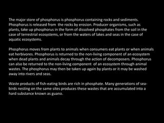 The major store of phosphorus is phosphorus containing rocks and sediments. Phosphorus is released from  the rocks by erosion. Producer organisms, such as plants, take up phosphorus in the form of dissolved phosphates from the soil in the case of terrestrial ecosystems, or from the waters of lakes and seas in the case of aquatic ecosystems.Phosphorus moves from plants to animals when consumers eat plants or when animals eat herbivores. Phosphorus is returned to the non-living component of an ecosystem when dead plants and animals decay through the action of decomposers. Phosphorus can also be returned to the non-living component  of an ecosystem through animal wastes. The phosphorus may then be taken up again by plants or it may be washed away into rivers and seas.Waste products of fish-eating birds are rich in phosphate. Many generations of sea-birds nesting on the same sites produces these wastes that are accumulated into a hard substance known as guano.