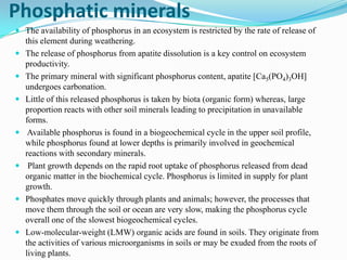 Phosphatic minerals
 The availability of phosphorus in an ecosystem is restricted by the rate of release of
this element during weathering.
 The release of phosphorus from apatite dissolution is a key control on ecosystem
productivity.
 The primary mineral with significant phosphorus content, apatite [Ca5(PO4)3OH]










undergoes carbonation.
Little of this released phosphorus is taken by biota (organic form) whereas, large
proportion reacts with other soil minerals leading to precipitation in unavailable
forms.
Available phosphorus is found in a biogeochemical cycle in the upper soil profile,
while phosphorus found at lower depths is primarily involved in geochemical
reactions with secondary minerals.
Plant growth depends on the rapid root uptake of phosphorus released from dead
organic matter in the biochemical cycle. Phosphorus is limited in supply for plant
growth.
Phosphates move quickly through plants and animals; however, the processes that
move them through the soil or ocean are very slow, making the phosphorus cycle
overall one of the slowest biogeochemical cycles.
Low-molecular-weight (LMW) organic acids are found in soils. They originate from
the activities of various microorganisms in soils or may be exuded from the roots of
living plants.

 