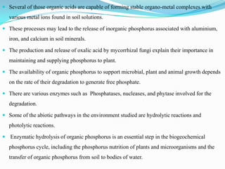  Several of those organic acids are capable of forming stable organo-metal complexes with

various metal ions found in soil solutions.
 These processes may lead to the release of inorganic phosphorus associated with aluminium,

iron, and calcium in soil minerals.
 The production and release of oxalic acid by mycorrhizal fungi explain their importance in

maintaining and supplying phosphorus to plant.
 The availability of organic phosphorus to support microbial, plant and animal growth depends

on the rate of their degradation to generate free phosphate.
 There are various enzymes such as Phosphatases, nucleases, and phytase involved for the

degradation.
 Some of the abiotic pathways in the environment studied are hydrolytic reactions and

photolytic reactions.
 Enzymatic hydrolysis of organic phosphorus is an essential step in the biogeochemical

phosphorus cycle, including the phosphorus nutrition of plants and microorganisms and the
transfer of organic phosphorus from soil to bodies of water.

 