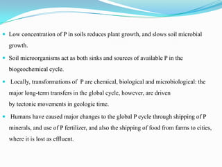  Low concentration of P in soils reduces plant growth, and slows soil microbial

growth.
 Soil microorganisms act as both sinks and sources of available P in the

biogeochemical cycle.
 Locally, transformations of P are chemical, biological and microbiological: the

major long-term transfers in the global cycle, however, are driven
by tectonic movements in geologic time.
 Humans have caused major changes to the global P cycle through shipping of P

minerals, and use of P fertilizer, and also the shipping of food from farms to cities,
where it is lost as effluent.

 