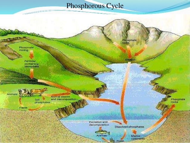 Where Can Sulfur Dioxide Be Found In Nature Where Can Sulfur Dioxide Be Found In Nature