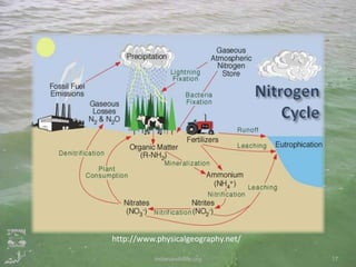 Phosphorus in Our Lawn Fertilizer: Threatening Indiana's Water from L…