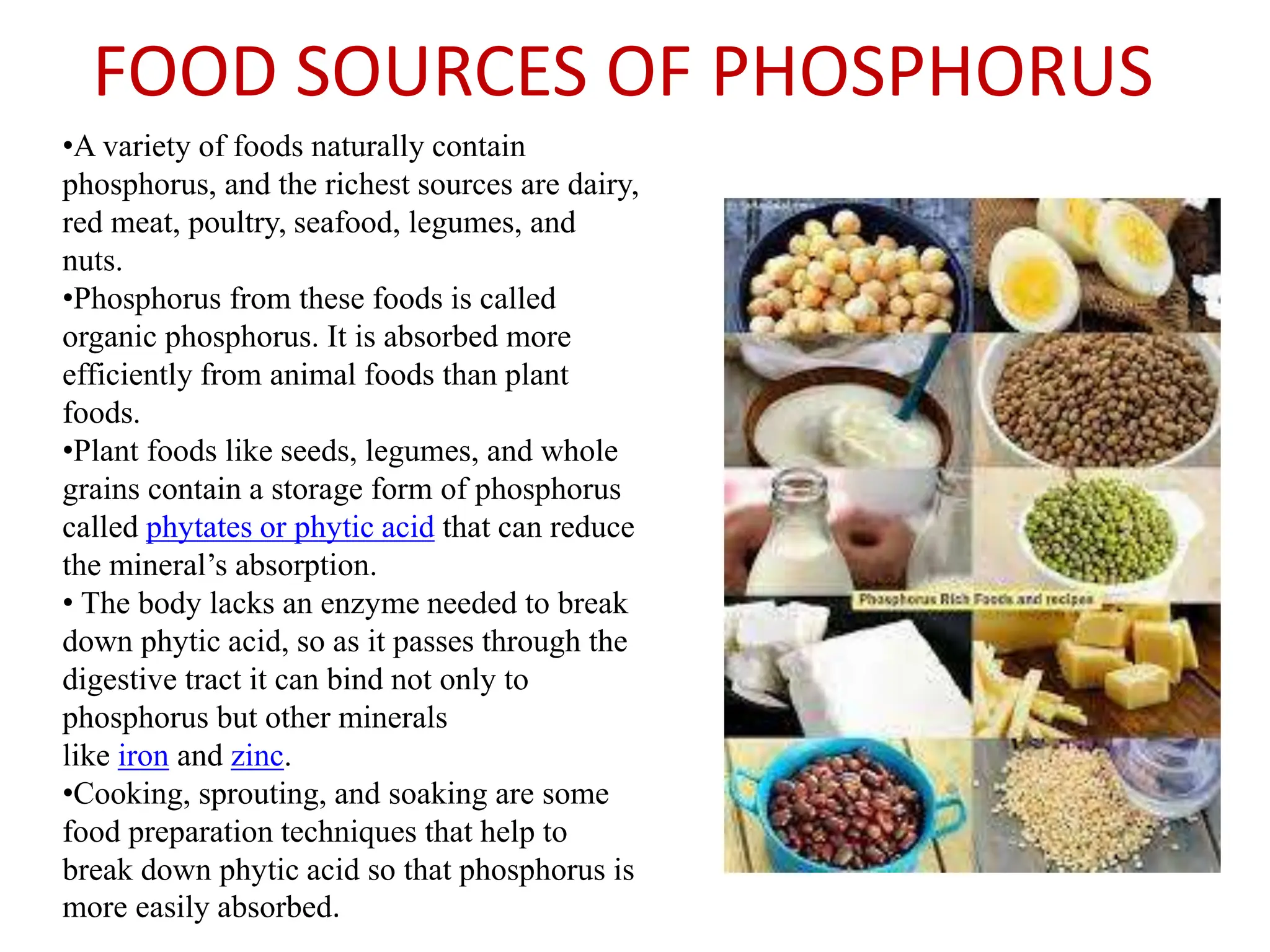 FOOD SOURCES OF PHOSPHORUS
•A variety of foods naturally contain
phosphorus, and the richest sources are dairy,
red meat, poultry, seafood, legumes, and
nuts.
•Phosphorus from these foods is called
organic phosphorus. It is absorbed more
efficiently from animal foods than plant
foods.
•Plant foods like seeds, legumes, and whole
grains contain a storage form of phosphorus
called phytates or phytic acid that can reduce
the mineral’s absorption.
• The body lacks an enzyme needed to break
down phytic acid, so as it passes through the
digestive tract it can bind not only to
phosphorus but other minerals
like iron and zinc.
•Cooking, sprouting, and soaking are some
food preparation techniques that help to
break down phytic acid so that phosphorus is
more easily absorbed.
 
