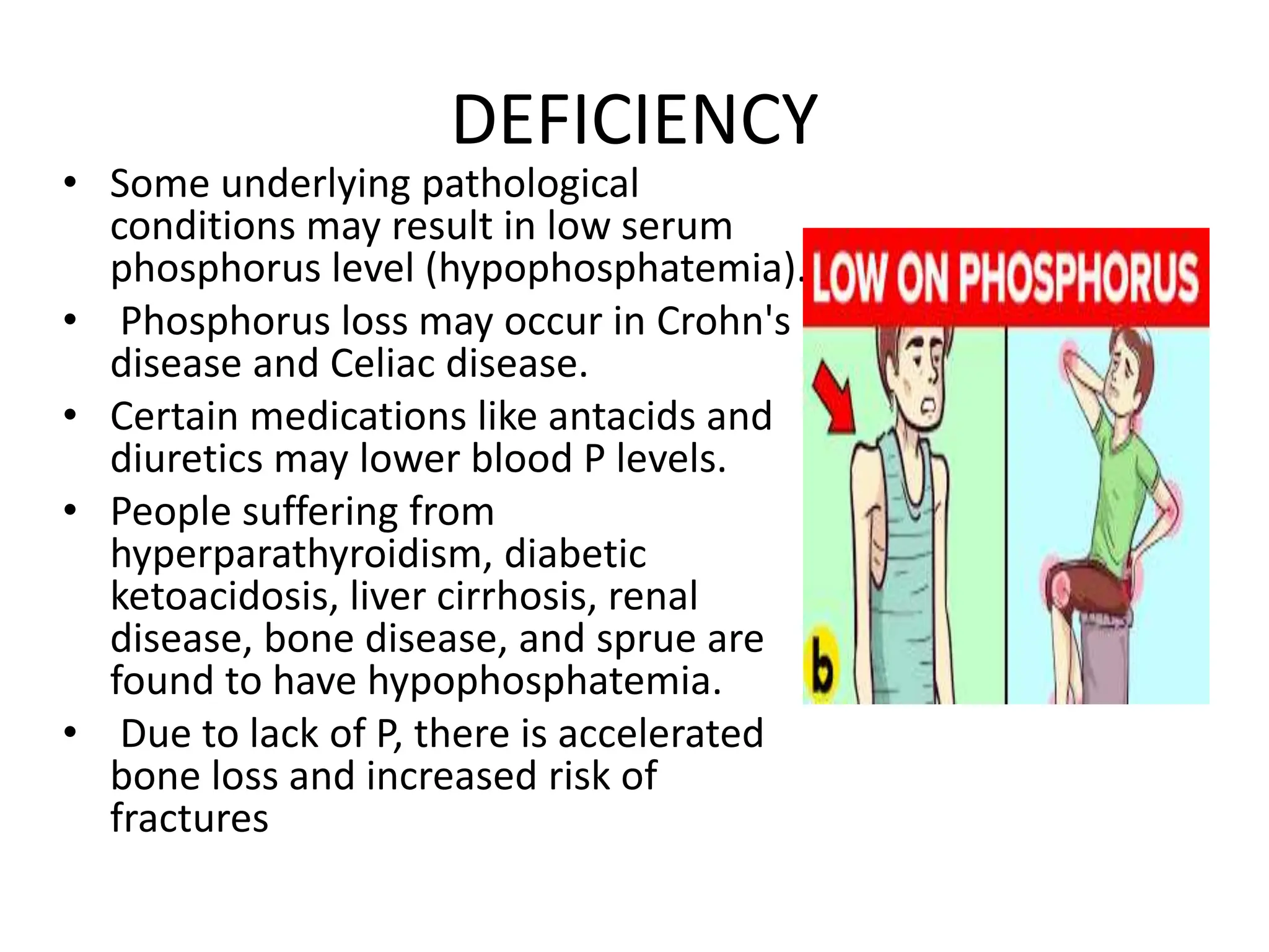 DEFICIENCY
• Some underlying pathological
conditions may result in low serum
phosphorus level (hypophosphatemia).
• Phosphorus loss may occur in Crohn's
disease and Celiac disease.
• Certain medications like antacids and
diuretics may lower blood P levels.
• People suffering from
hyperparathyroidism, diabetic
ketoacidosis, liver cirrhosis, renal
disease, bone disease, and sprue are
found to have hypophosphatemia.
• Due to lack of P, there is accelerated
bone loss and increased risk of
fractures
 