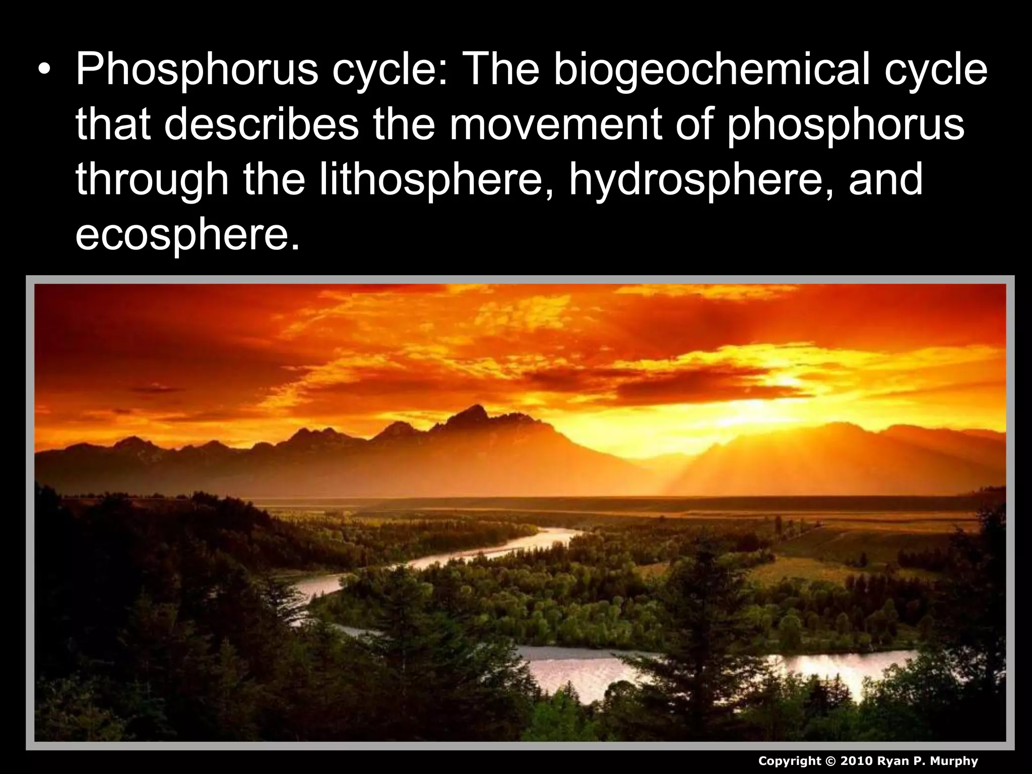 Phosphorus Cycle Lesson PowerPoint, Cycles, Biogeochemical Cycles ...
