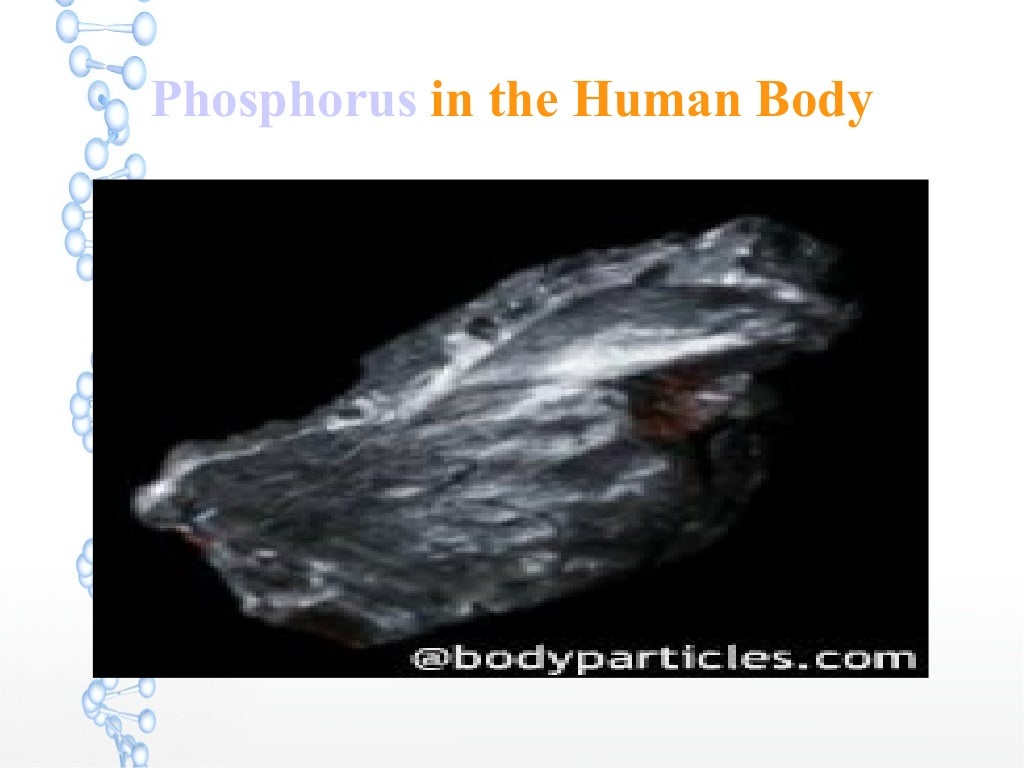 Phosphorus in the Human Body
