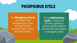 PHOSPHORUS CYCLE
ThePhosphorusCycle
describeshow
phosphorusmoves
throughEarth’s
systems:land,water,
andlivingthings.
Itisasedimentary
cycle—itdoesnot
includeagaseous
phase,whichmakesit
slowerthanthecarbon
ornitrogencycles.
 
