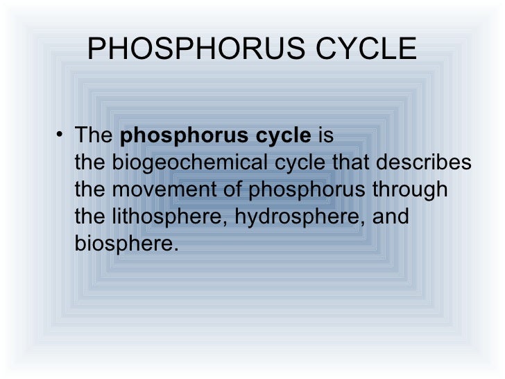 Phosphorus cycle