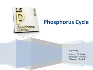 Reported by:
Cruz Jr., Edralin O.
Domingo, Dennimar O.
Velasquez, Krisia P.
Phosphorus Cycle
 