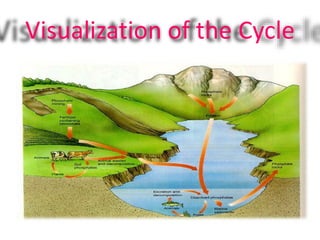 Visualization of the Cycle
 