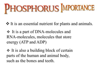  It is an essential nutrient for plants and animals.
 It is a part of DNA-molecules and
RNA-molecules, molecules that store
energy (ATP and ADP)
 It is also a building block of certain
parts of the human and animal body,
such as the bones and teeth.
 