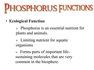 • Ecological Function
 Phosphorus is an essential nutrient for
plants and animals.
 Limiting nutrient for aquatic
organisms.
 Forms parts of important life-
sustaining molecules that are very
common in the biosphere.
 