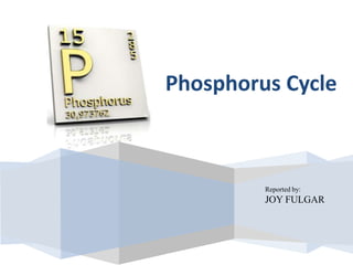 Reported by:
JOY FULGAR
Phosphorus Cycle
 