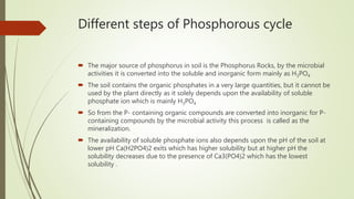 Different steps of Phosphorous cycle
 The major source of phosphorus in soil is the Phosphorus Rocks, by the microbial
activities it is converted into the soluble and inorganic form mainly as H3PO4
 The soil contains the organic phosphates in a very large quantities, but it cannot be
used by the plant directly as it solely depends upon the availability of soluble
phosphate ion which is mainly H3PO4
 So from the P- containing organic compounds are converted into inorganic for P-
containing compounds by the microbial activity this process is called as the
mineralization.
 The availability of soluble phosphate ions also depends upon the pH of the soil at
lower pH Ca(H2PO4)2 exits which has higher solubility but at higher pH the
solubility decreases due to the presence of Ca3(PO4)2 which has the lowest
solubility .
 