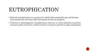Phosphorus cycle Detailed