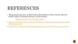 Phosphorus cycle Detailed
