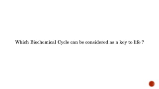 Phosphorus cycle Detailed