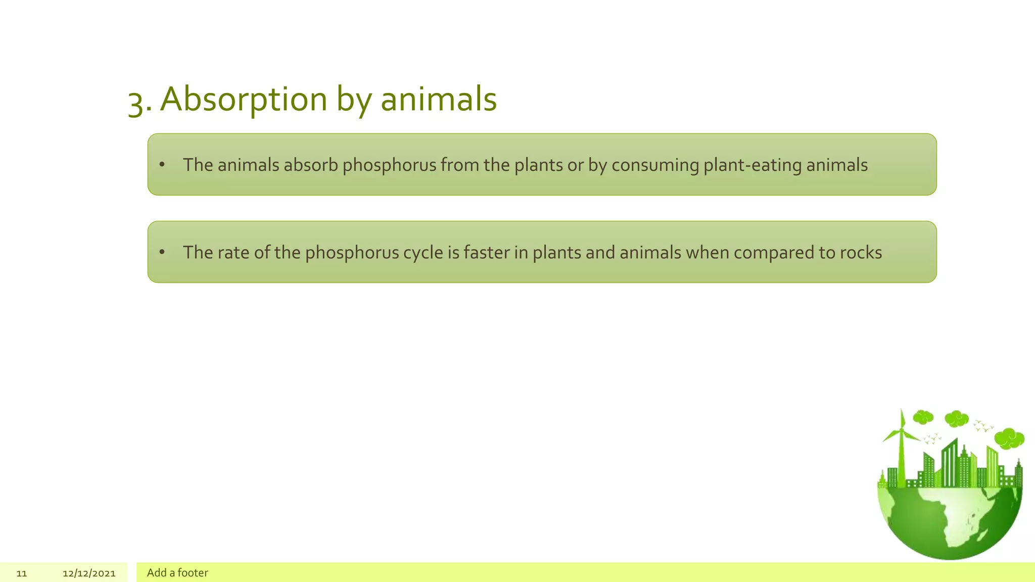 Phosphorus cycle | PPTX