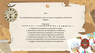Phosphorus cycle (Food and Environmental Microbiology).pptx.pptx