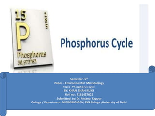Semester -5th
Paper – Environmental Microbiology
Topic- Phosphorus cycle
BY: KHAN SHAH RUKH
Roll no : 4181457022
Submitted to: Dr. Anjana Kapoor
College / Department: MICROBIOLOGY, SSN College ;University of Delhi
 