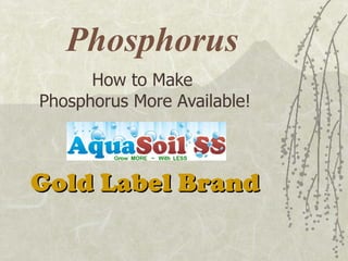 Phosphorus How to Make  Phosphorus More Available! Gold Label Brand 