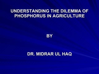 UNDERSTANDING THE DILEMMA OF PHOSPHORUS IN AGRICULTURE ,[object Object],[object Object]