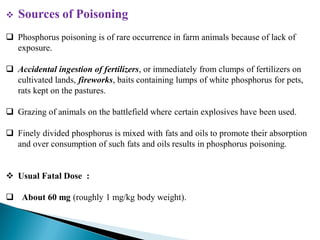  Sources of Poisoning
 Phosphorus poisoning is of rare occurrence in farm animals because of lack of
exposure.
 Accidental ingestion of fertilizers, or immediately from clumps of fertilizers on
cultivated lands, fireworks, baits containing lumps of white phosphorus for pets,
rats kept on the pastures.
 Grazing of animals on the battlefield where certain explosives have been used.
 Finely divided phosphorus is mixed with fats and oils to promote their absorption
and over consumption of such fats and oils results in phosphorus poisoning.
 Usual Fatal Dose :
 About 60 mg (roughly 1 mg/kg body weight).
 