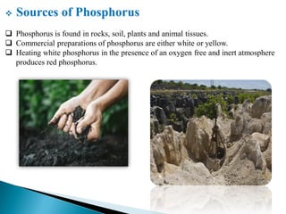  Sources of Phosphorus
 Phosphorus is found in rocks, soil, plants and animal tissues.
 Commercial preparations of phosphorus are either white or yellow.
 Heating white phosphorus in the presence of an oxygen free and inert atmosphere
produces red phosphorus.
 