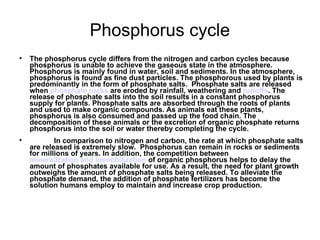 Phosphorus cycle The phosphorus cycle differs from the nitrogen and carbon cycles because phosphorus is unable to achieve the gaseous state in the atmosphere. Phosphorus is mainly found in water, soil and sediments. In the atmosphere, phosphorus is found as fine dust particles. The phosphorous used by plants is predominantly in the form of phosphate salts.  Phosphate salts are released when  phosphate rocks  are eroded by rainfall, weathering and  runoffs . The release of phosphate salts into the soil results in a constant phosphorus supply for plants. Phosphate salts are absorbed through the roots of plants and used to make organic compounds. As animals eat these plants, phosphorus is also consumed and passed up the food chain. The decomposition of these animals or the excretion of organic phosphate returns phosphorus into the soil or water thereby completing the cycle.                In comparison to nitrogen and carbon, the rate at which phosphate salts are released is extremely slow.  Phosphorus can remain in rocks or sediments for millions of years. In addition, the competition between  mineralization and immobilization  of organic phosphorus helps to delay the amount of phosphates available for use. As a result, the need for plant growth outweighs the amount of phosphate salts being released. To alleviate the phosphate demand, the addition of phosphate fertilizers has become the solution humans employ to maintain and increase crop production. 