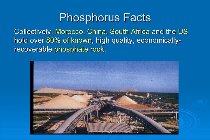 a green and sustainable solution to global phosphorus phosphorus facts